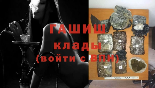 шишки Абаза