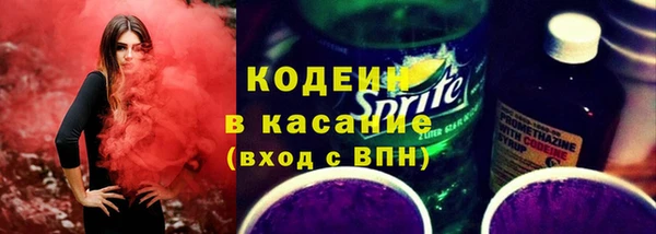 шишки Абаза