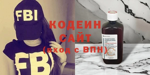 шишки Абаза