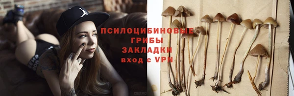 шишки Абаза