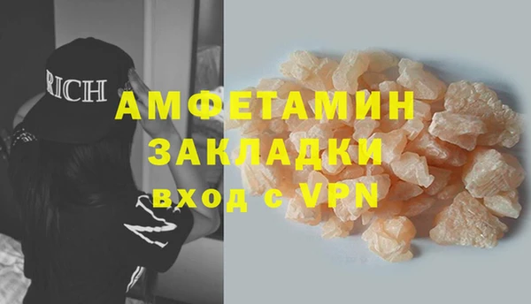 шишки Абаза