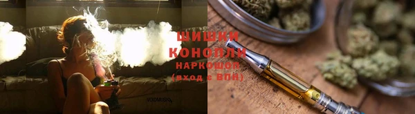 шишки Абаза