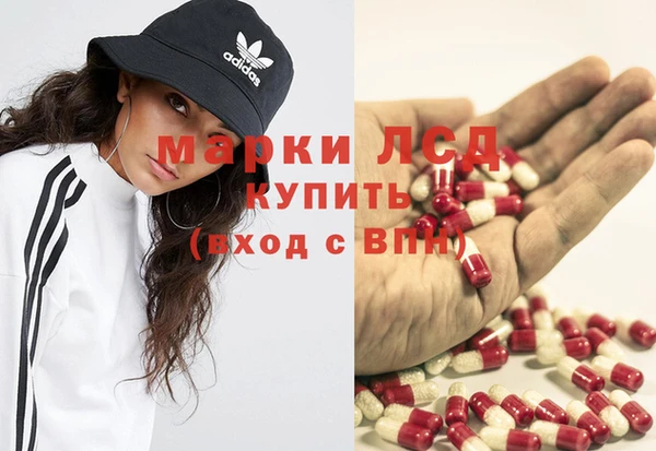 шишки Абаза