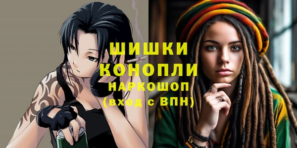 шишки Абаза
