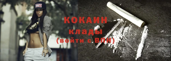 шишки Абаза