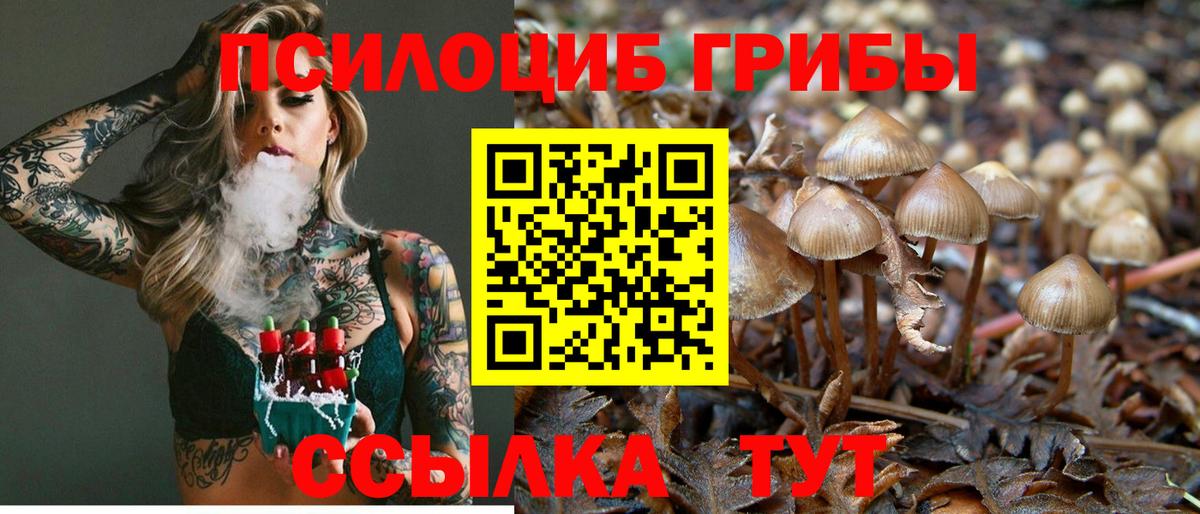 Галлюциногенные грибы MAGIC MUSHROOMS  Вход с VPN  Галлюциногенные грибы ЛСД  Нефтеюганск 